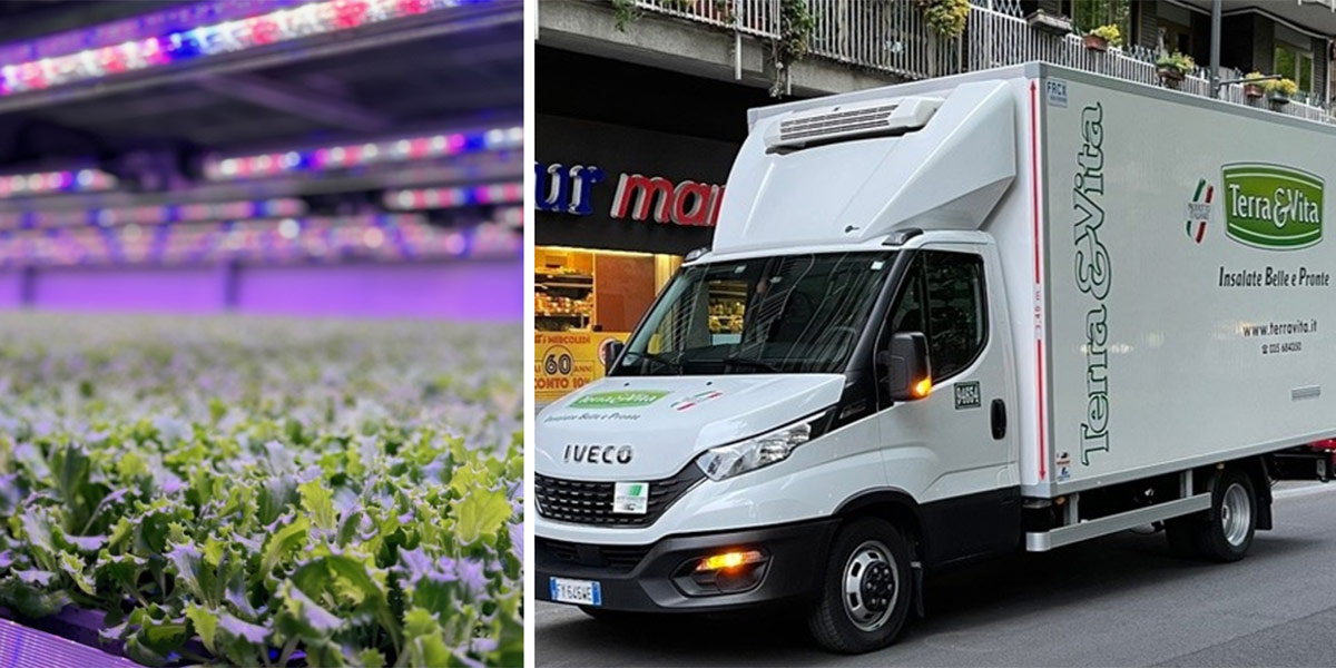 Vertical farm e merchandising: il connubio vincente per le insalate in busta